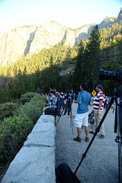 DSC_2483 (Large).JPG